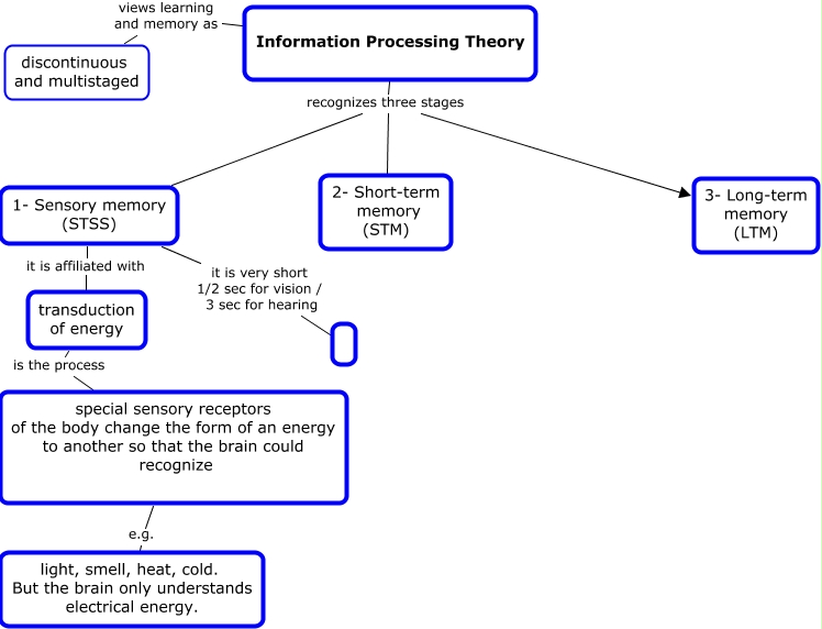 A Well-illustrated Overview on the Information Processing Theory